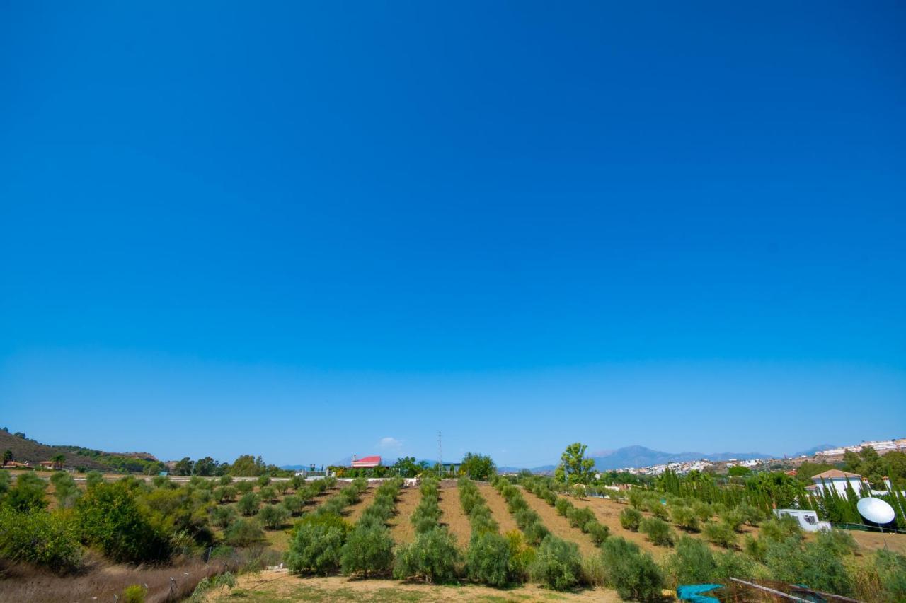 Cubo'S Finca Mis Seis Soles Coín Exteriör bild